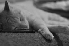 Laëtitia FUCHS - LYON EYE'S PHOTOGRAPHY