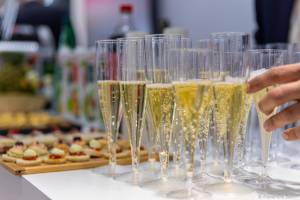 Alexandre BADOT - BADOT ALEXANDRE